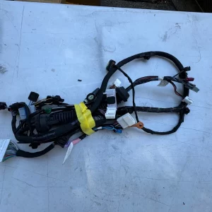 NEW OEM Tesla Model X P100D AWD 2017 RHD Front Right Door Wiring 1032432-00-G